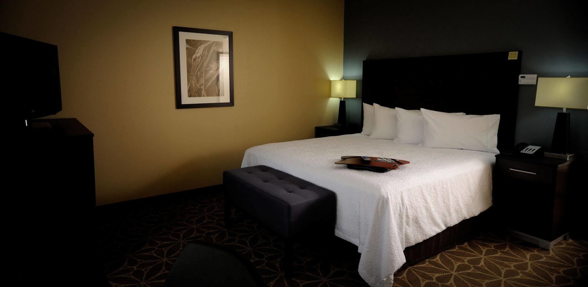 Hotel Hampton And Heights I-10 Houston
